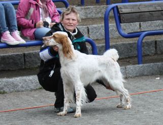 Stegg mai 2011