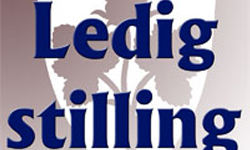 ledig-stilling-web