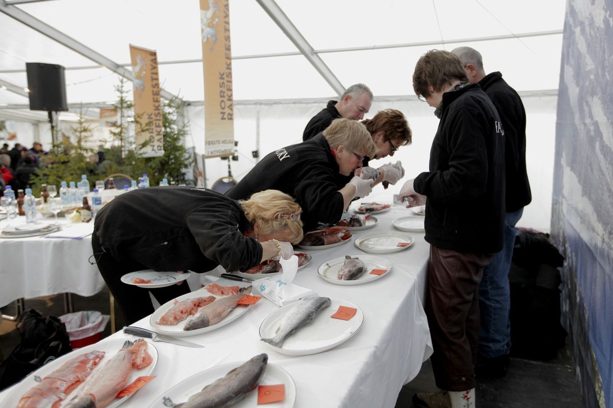 Rakfiskfestivalen - juryen i arbeid