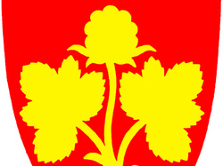 logo-web