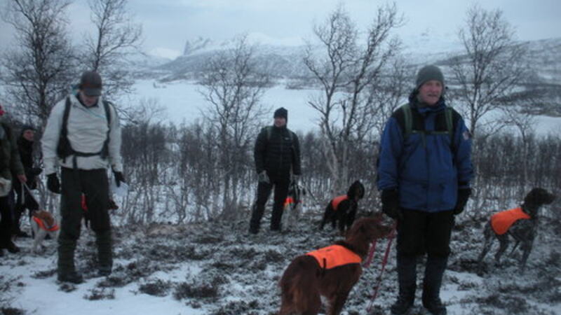Markadag 2010 VK_500x375