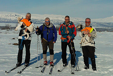 Lapland cup