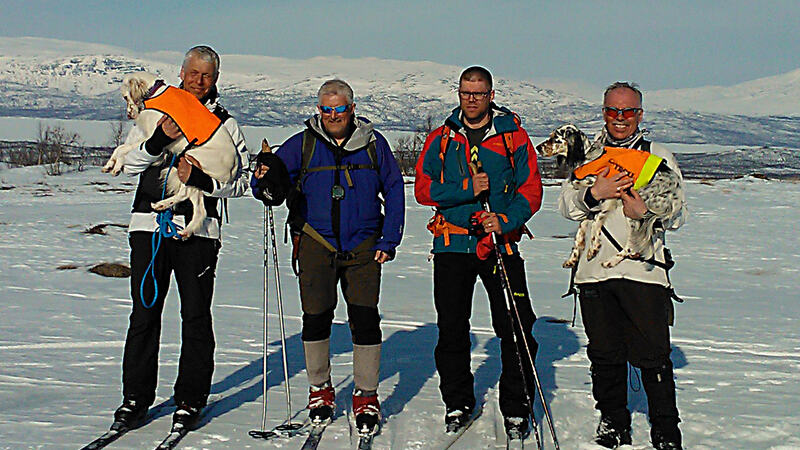Lapland cup