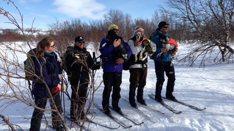 Vinnere Artic Cup 2013