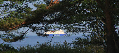 Danskebåten og trær