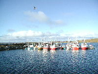 Kløvnes båter_200x150