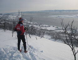 aldonrennet