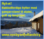 Nesbyenhyttemesseannonse4