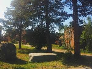 Kvileskogen1_300x225 Kvileskogen1_300x225