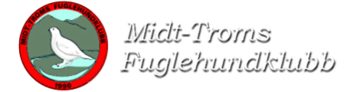 nyLogo4