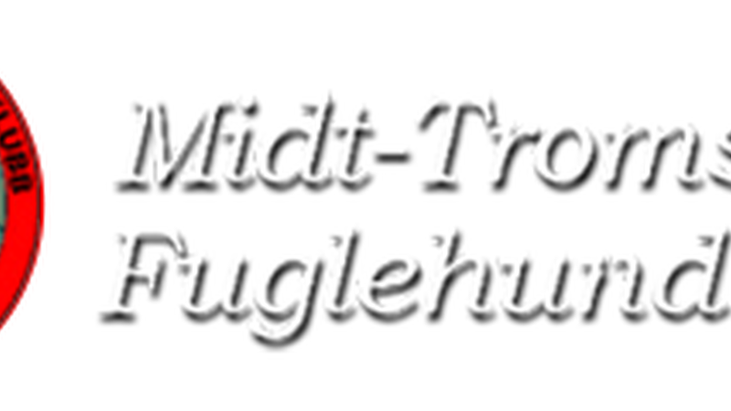 nyLogo4