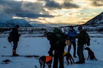 Senjaprøven parti på Flakstadvåg Foto EiriK Heim