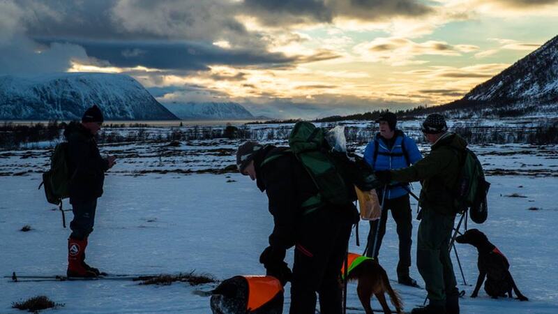Senjaprøven parti på Flakstadvåg Foto EiriK Heim