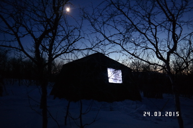 Telt i nordlys og måneskinn.jpg