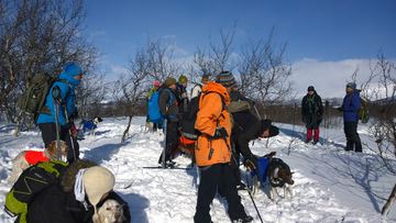 Altevatnprøven 2015 (7) Morgenandkten ved dommerne Mads Hanssen og Kurth Hauge VK kvalik