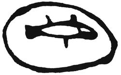 fisk-i-vann