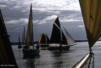 Tall ships races - av Arve Lindvig - redigert_148x100.jpg