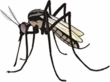 mosquito_110x82
