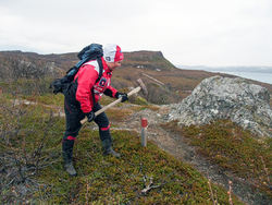 tipatoppsmåfiler-(6)