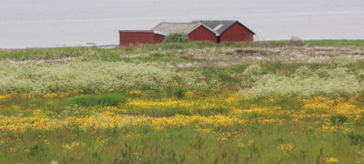 Naust Harøy