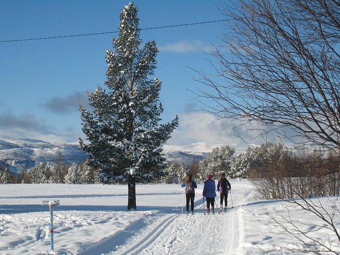 Skiløyper Skiløyper