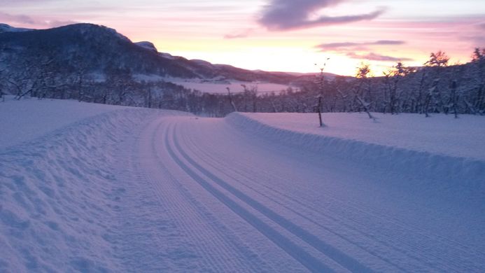 Skiløype Sarves med mye snø og fint lys