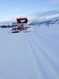 12670170_592480240900152_1196288462740163441_n