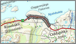 Høring-nyelvbru