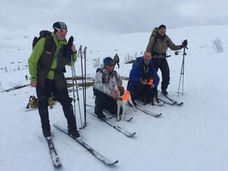 VK finale 2016