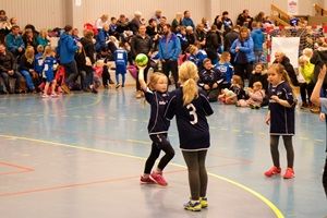 Håndball Håndball