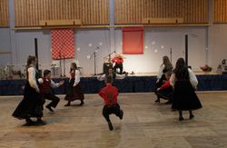 Fjelljom bygdedans junior