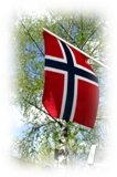 Norsk flagg i rødt, hvitt og blatt. Bjørketre i bakgrunn.