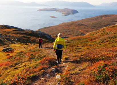 Dønnevarre i høstfarger