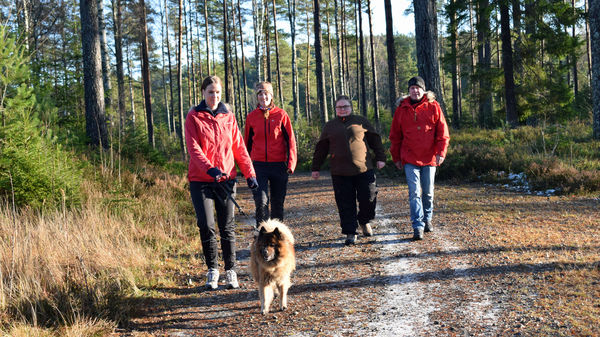 Gudbrand Go - turbilde gruppe