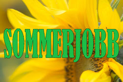 SOMMERJOBB