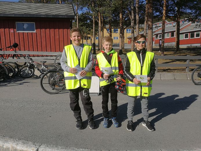 Hjertesone