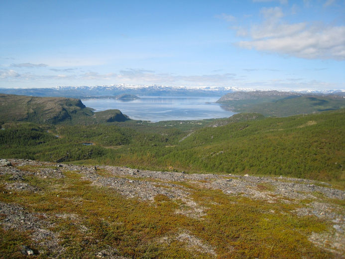 Ulvehenget