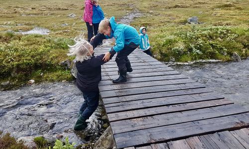 20170713_204256 (1)
