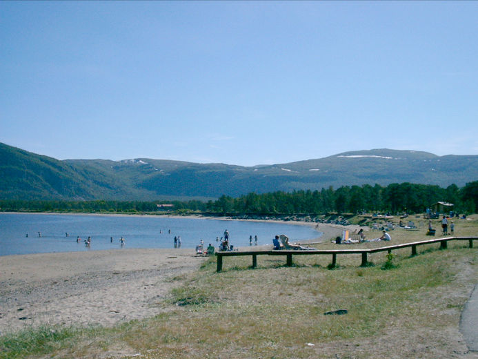 lathari