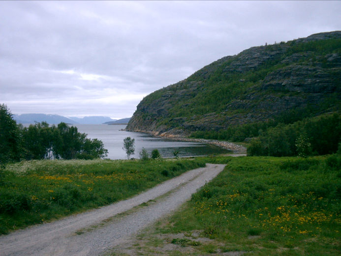 tollevika