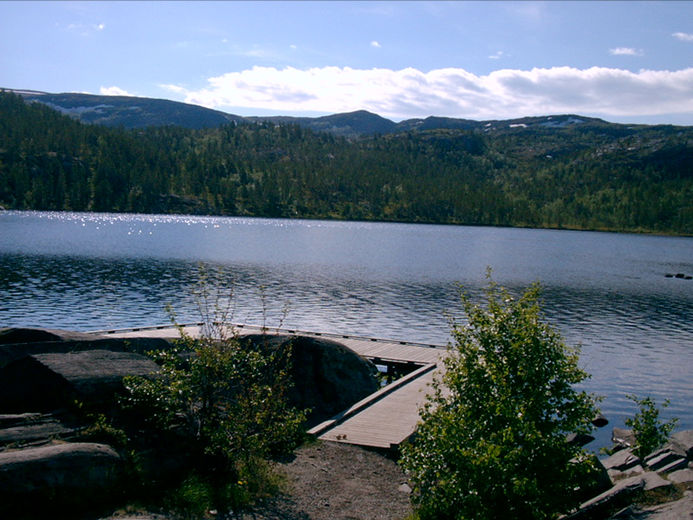skogvannet