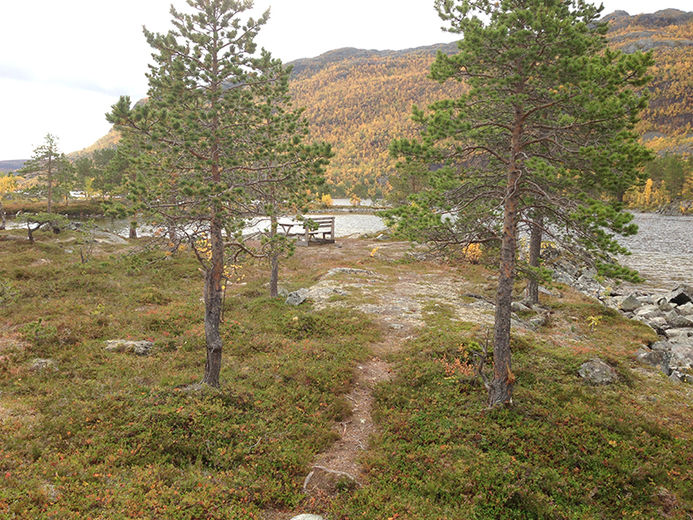 storvannet
