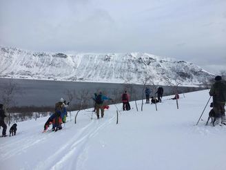 Arnøya 2019