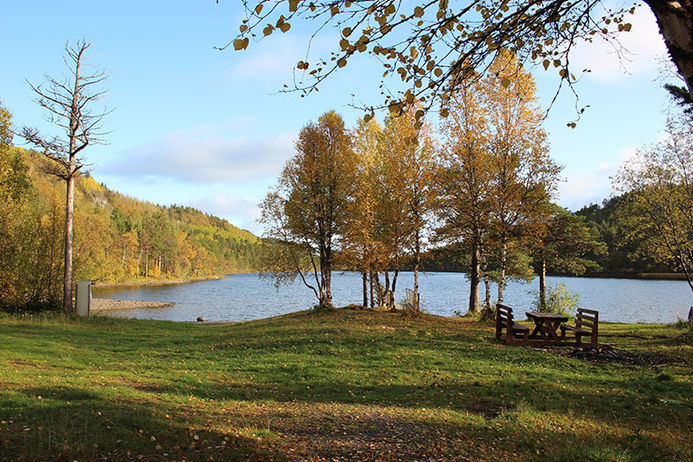 Langvannet