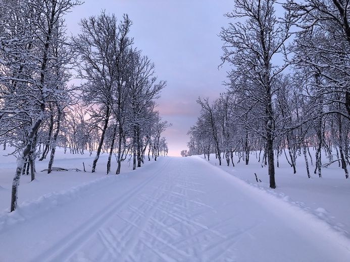 Her er fra skiløypa på Sarves forrige sesong. ©Alta kommune Skiløype Sarves
