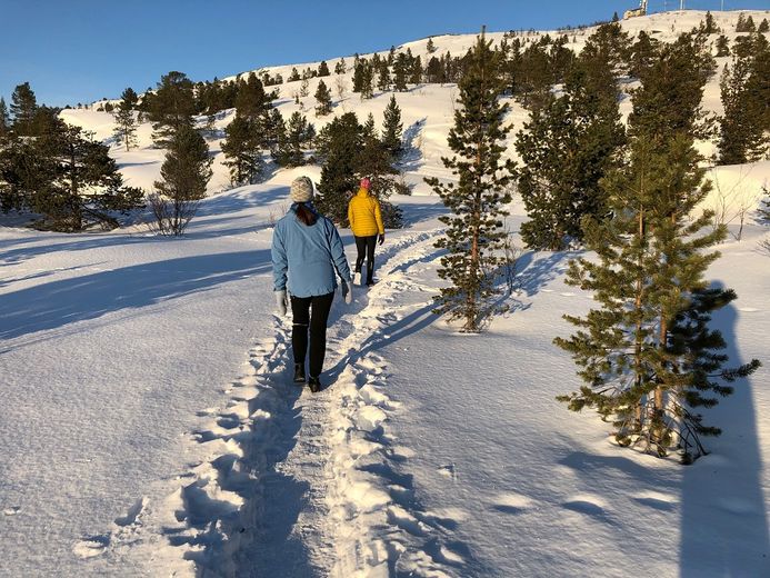 Fin gåsti til Komsatoppen Komsa