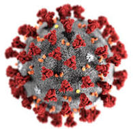 Koronaviruset er igjen på visitt i Nesseby