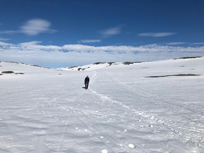 Skiløyper i fjellet, Sarves Fjellet