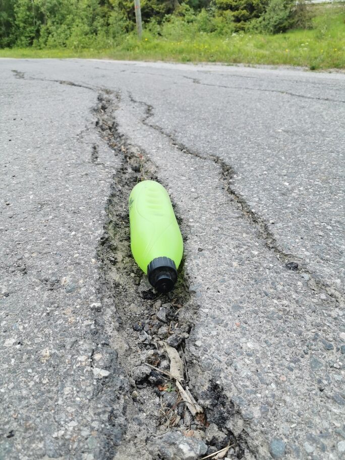 Storgjerdet veiskade