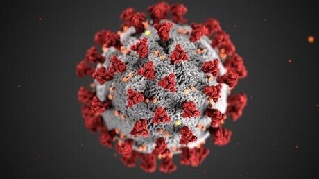 Koronavirus. Foto: Centers for Disease Control and Prevention (CDC)